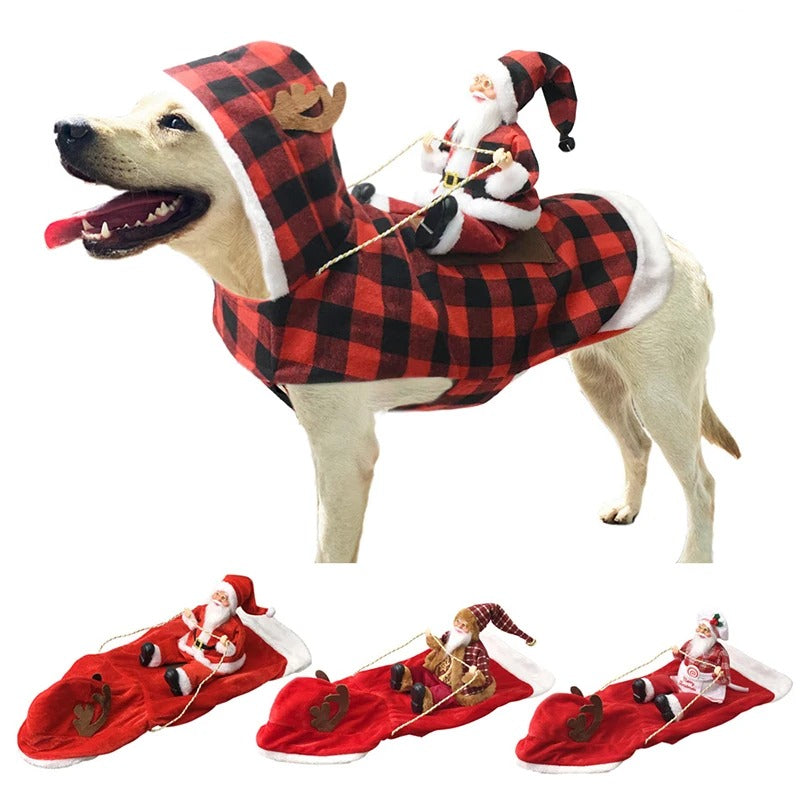 Labrador portant le style Tartan