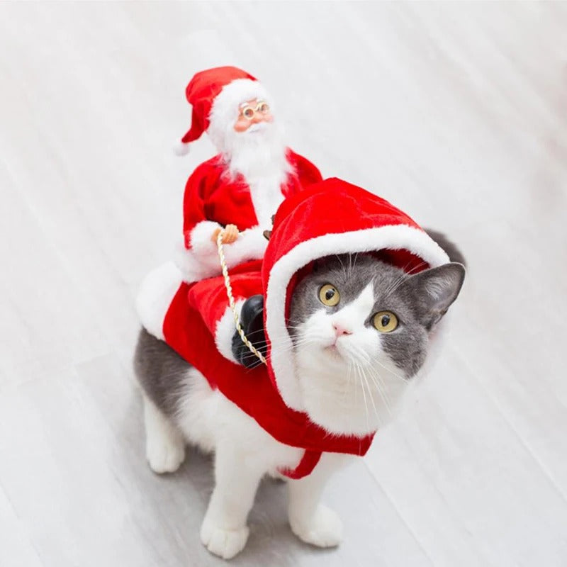 Chat portant le style Rouge classique